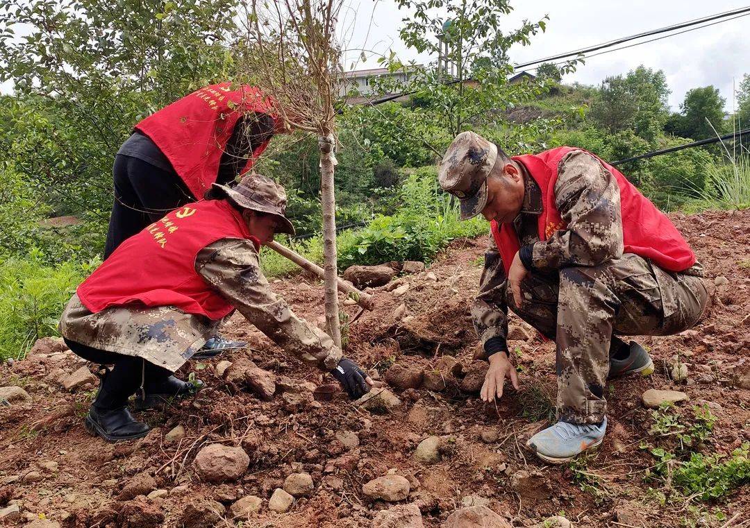 依洛地坝镇开展生态植树活动