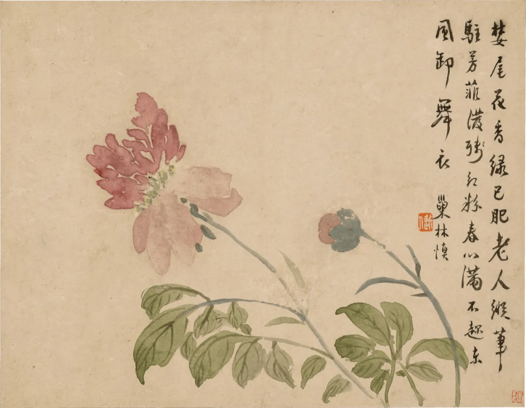 这小写意花鸟册,太美了