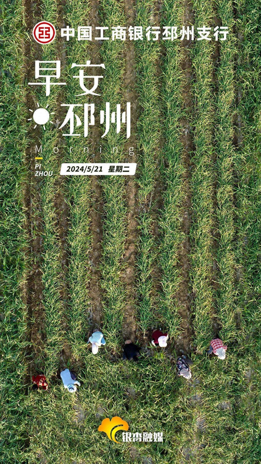 不免费!|早安,邳州