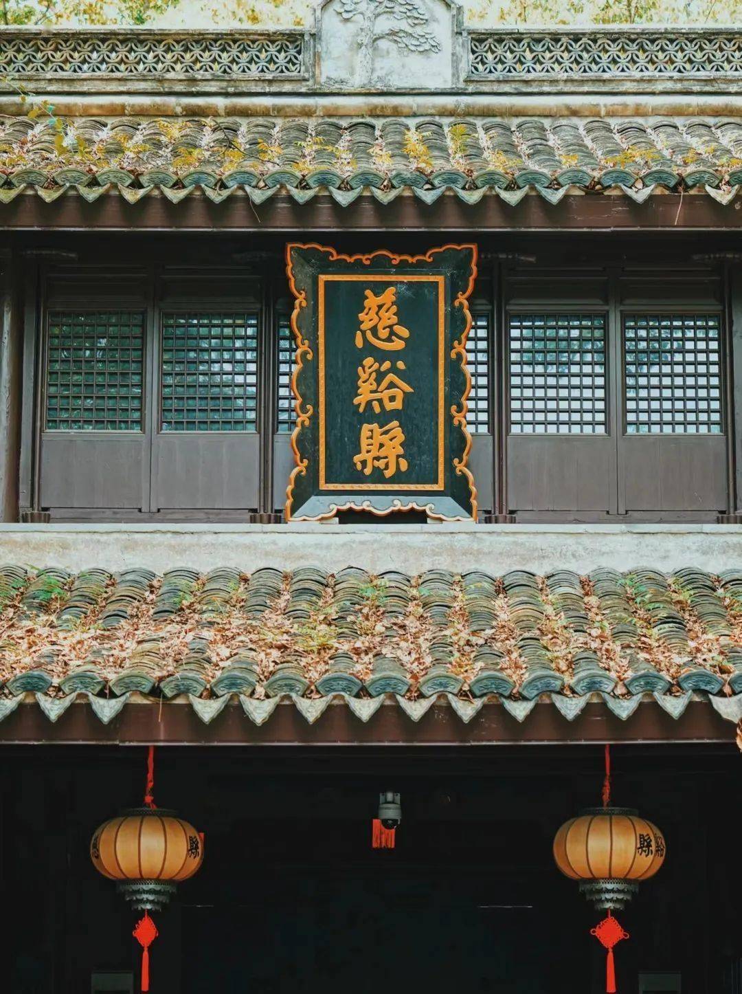 夏天均温23℃,一半向海,一半是山,这座杨梅味儿的