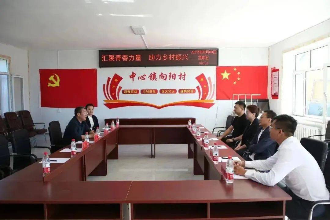 "促振兴 驻村更"助村" —— 市第一医院驻依安县中心镇向阳村工作纪实