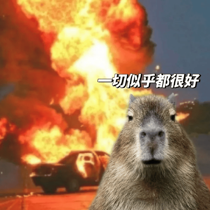 谁的微信表情包里没有卡皮巴拉?