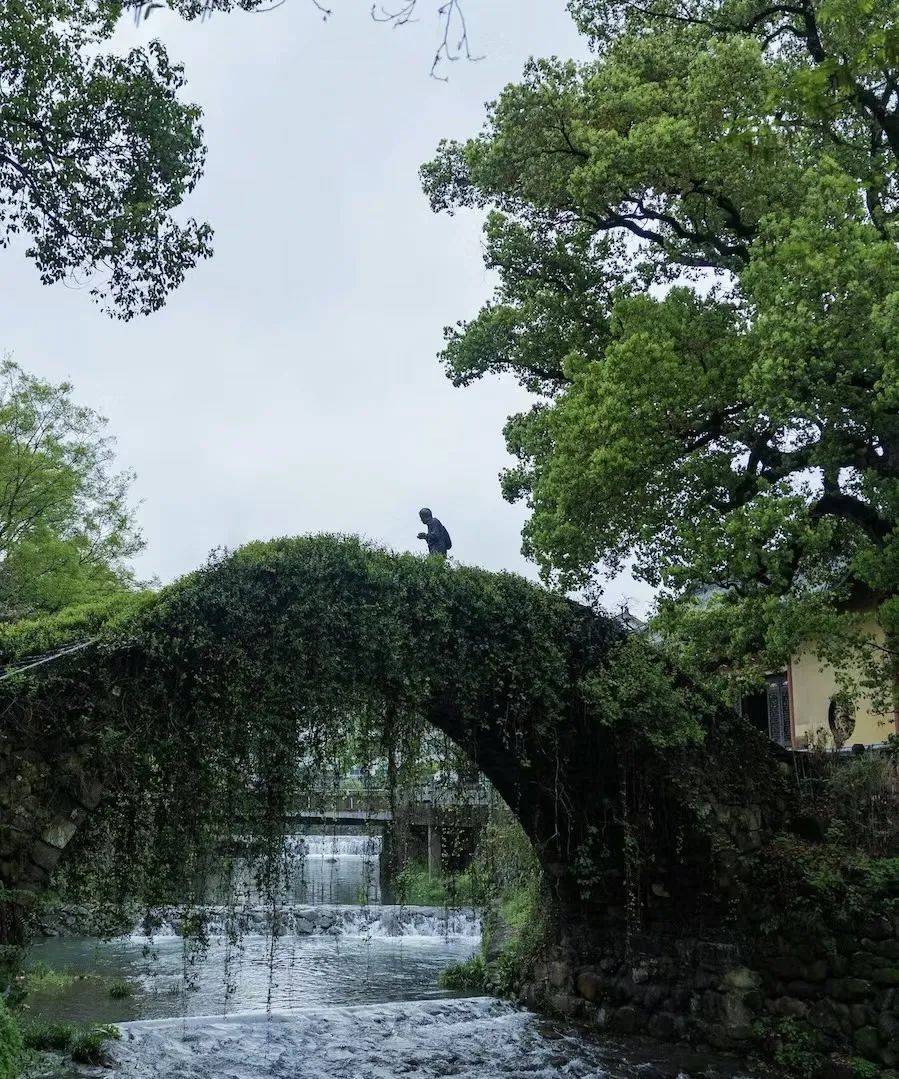 于浙江省杭州市桐庐县富春江镇,位于富春江畔东南部,地处杭州,千岛湖