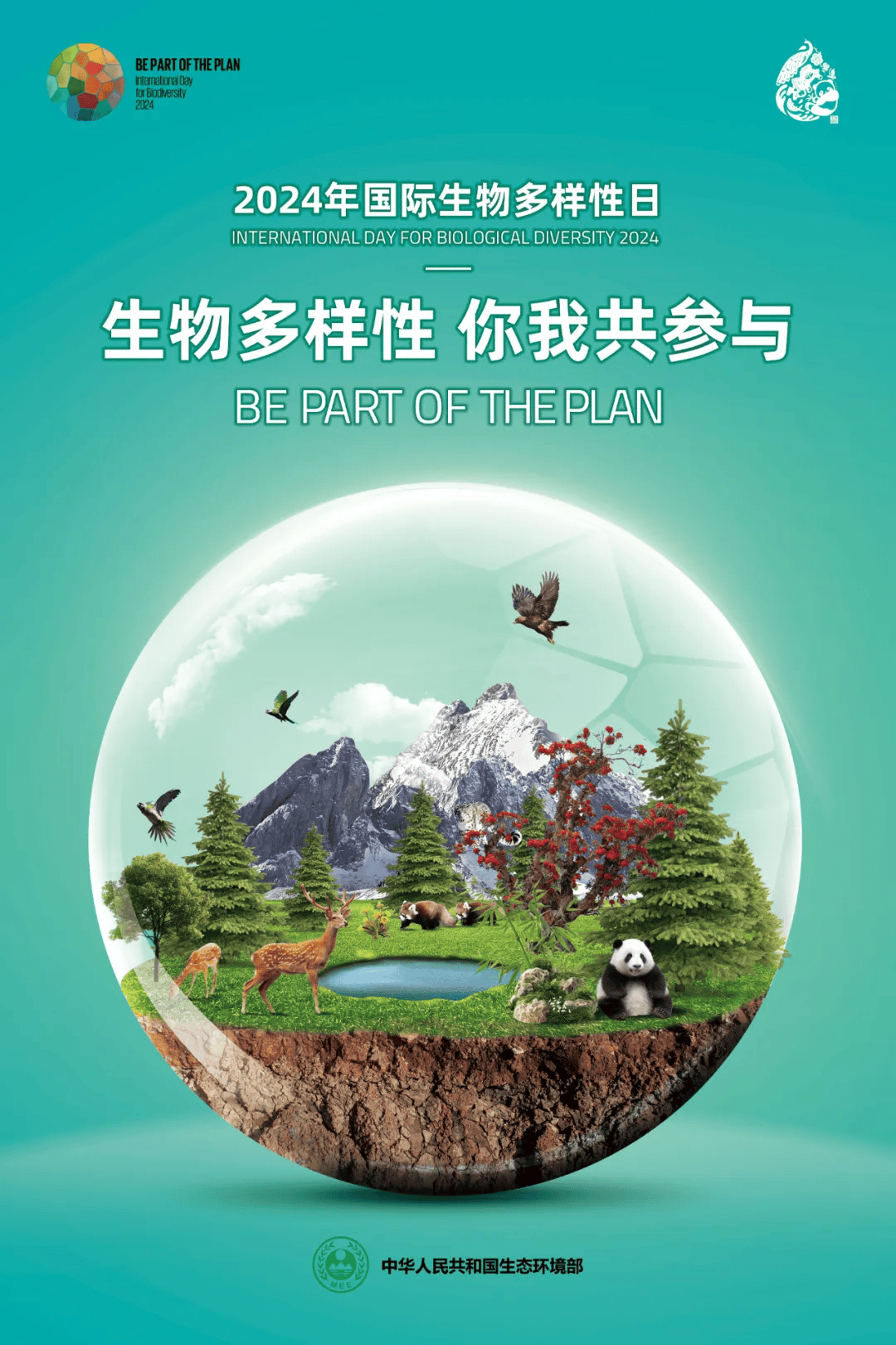 2024年国际生物多样性日宣传海报