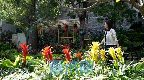 小桥流水,绿树掩映,走进位于章丘区的济南植物园,顺着园区小路一路