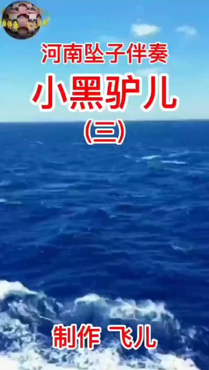 坠子小黑驴全场图片