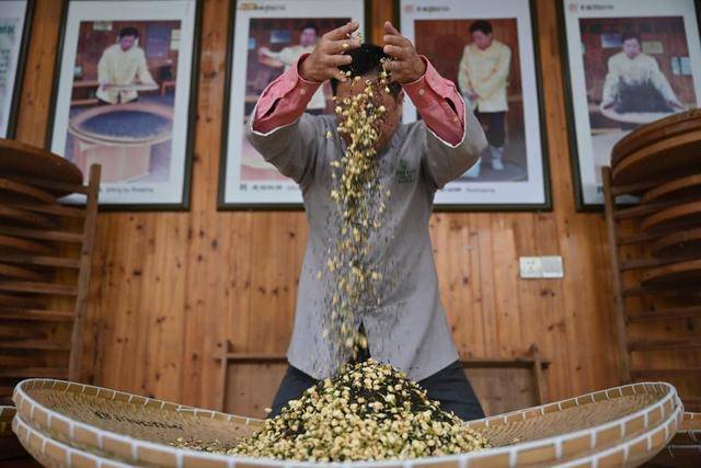 茶香里的“中非情缘”(图2)