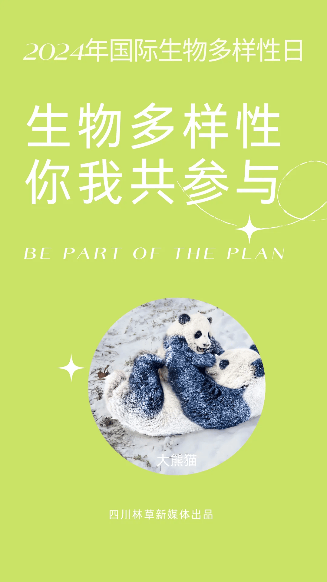 国际生物多样性日 | 宣传海报