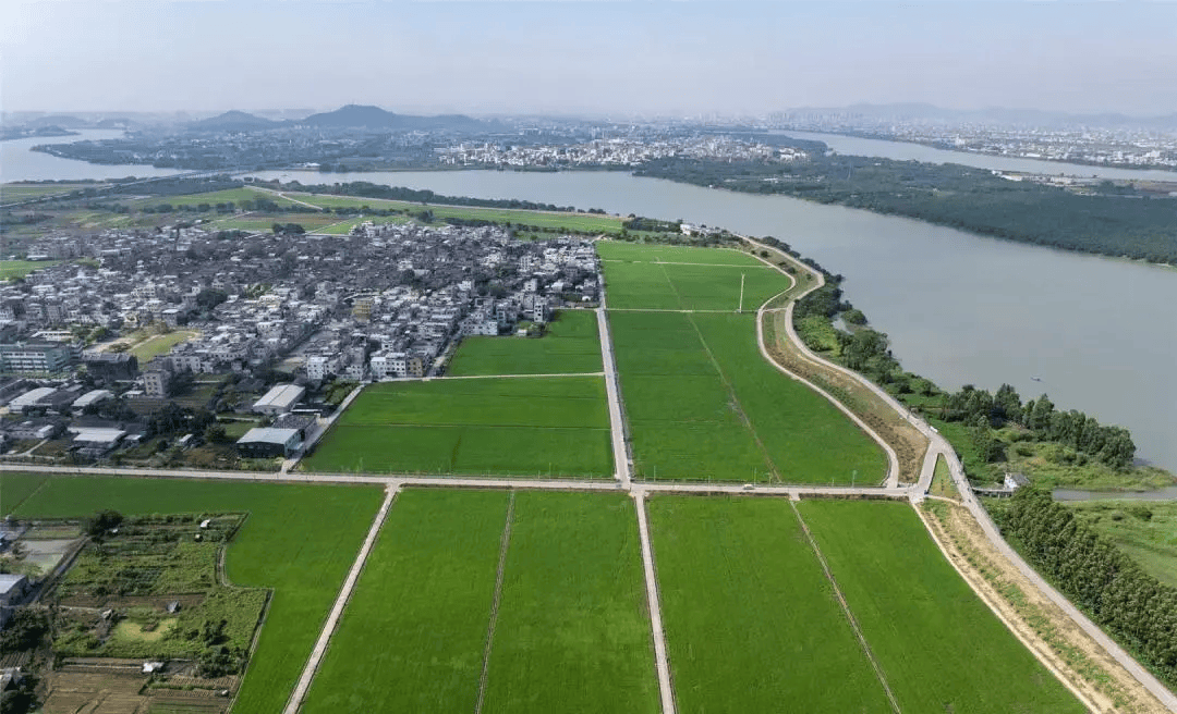 "千年古镇"绘就乡村振兴新蓝图_隆都镇_发展_农业