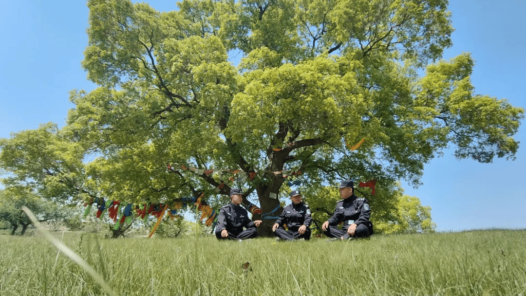 生态安全护北疆 | 擦亮"生态名片" 守护美丽"枫"景