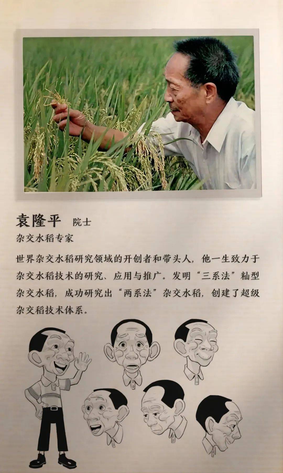 1080_1807竖版 竖屏