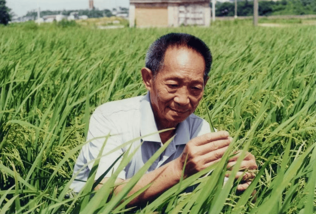 _袁隆平_爷爷_英语