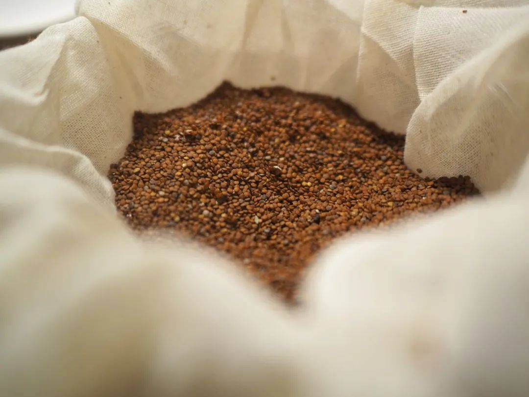 36℃!热得遭不住?来碗冰粉儿嘛!