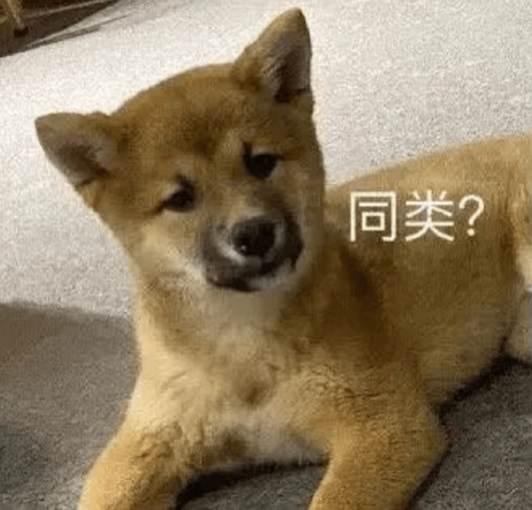 经典实用表情包:这班非上不可吗?