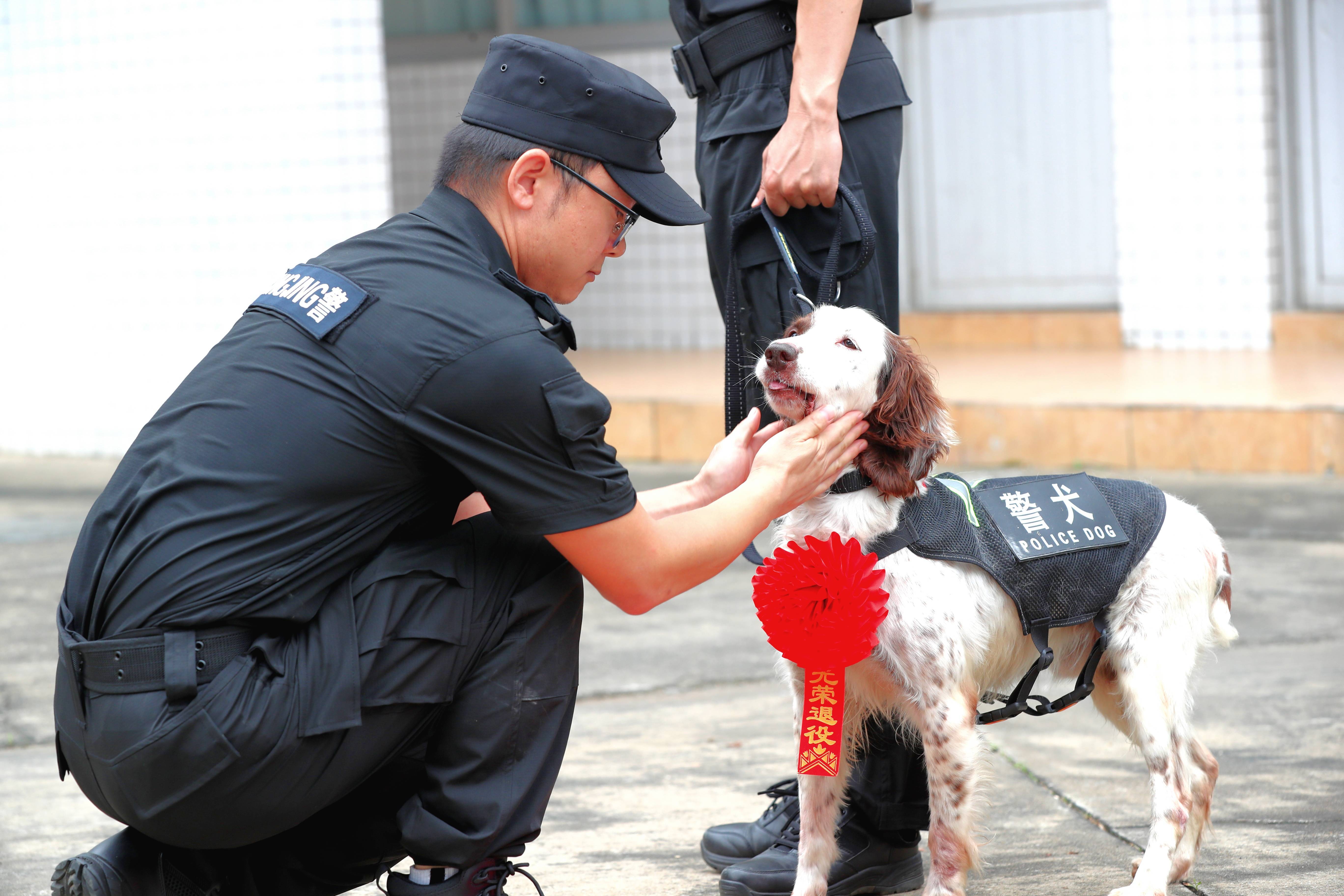 警犬训练基地标语图片