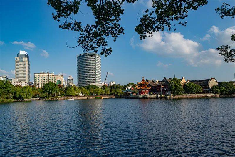 宁波"city walk"漫游指南|在慢生活中回望历史