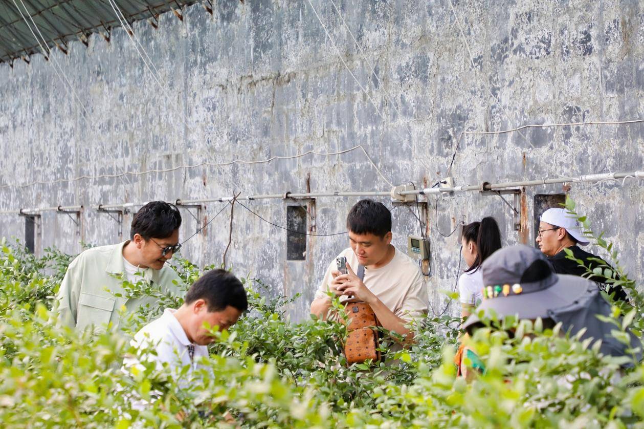 🌸上游新闻【2024年正版免费资料大全】_太原：大手笔建设新型工业城市