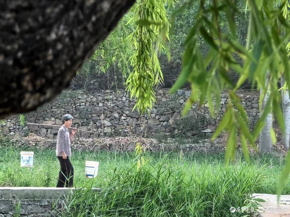 西营红岭村乡村日记，我在记录_朱明