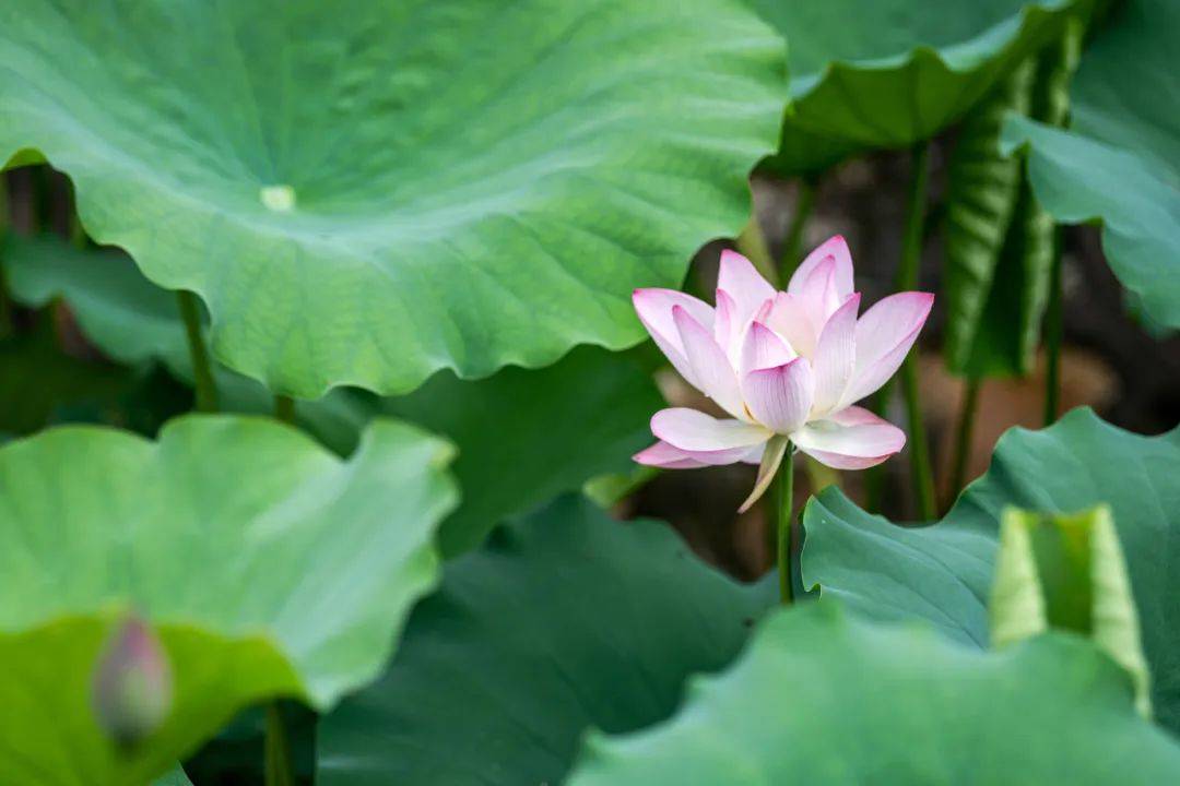 静下来,与岁月彼此相安_生活_人生_生命