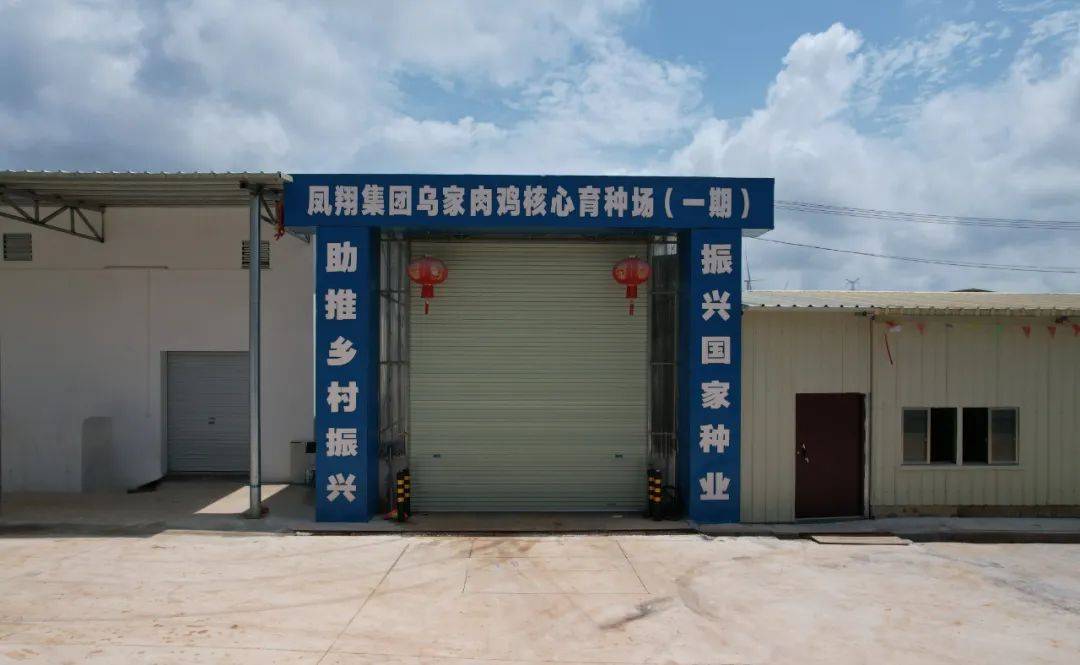 凤翔集团乌家肉鸡核心育种场项目一期建成投产,河北省肉禽创新团队