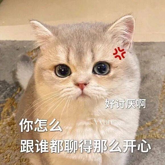 表情包管饱.嗝.