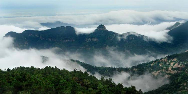 省级"特长生",为什么是沂源?