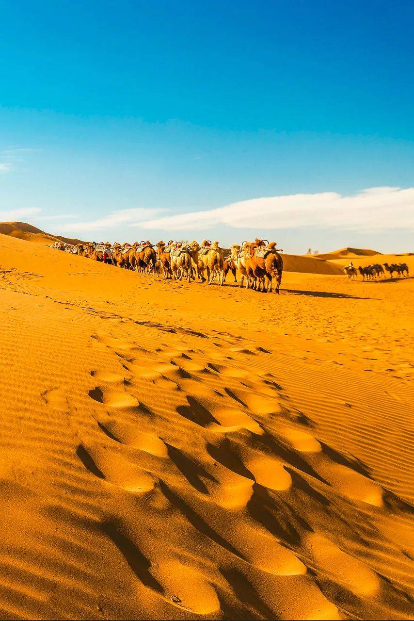 这才是中国34省区的最美天堂