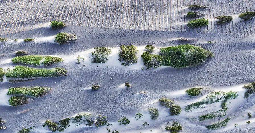 影像博州 | 守护万物共生的家园_艾比湖_保护_赛里木湖