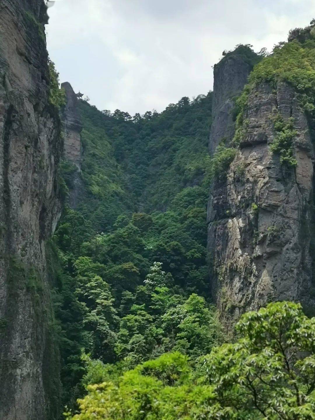 【云溪山人游记】雁山桐花开(一)灵岩_莲花洞_谷口_旅游