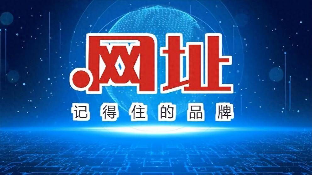 中文域名百度收录_域名收录查询工具_中文域名收藏