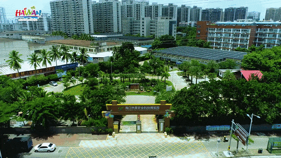 海南推出"海岛夏令营"十二条精品研学旅游路线,诚邀大家研学游天涯