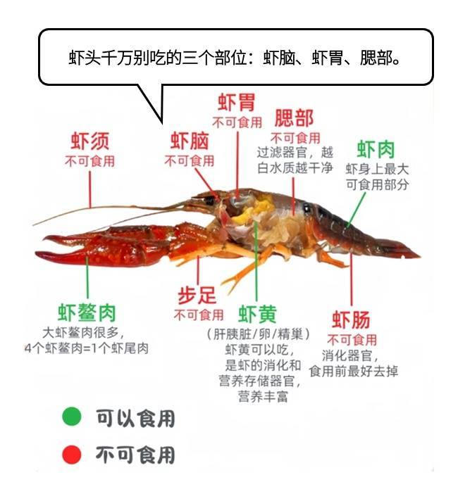 小龙虾的这些部位别再吃了，太多人中招了！