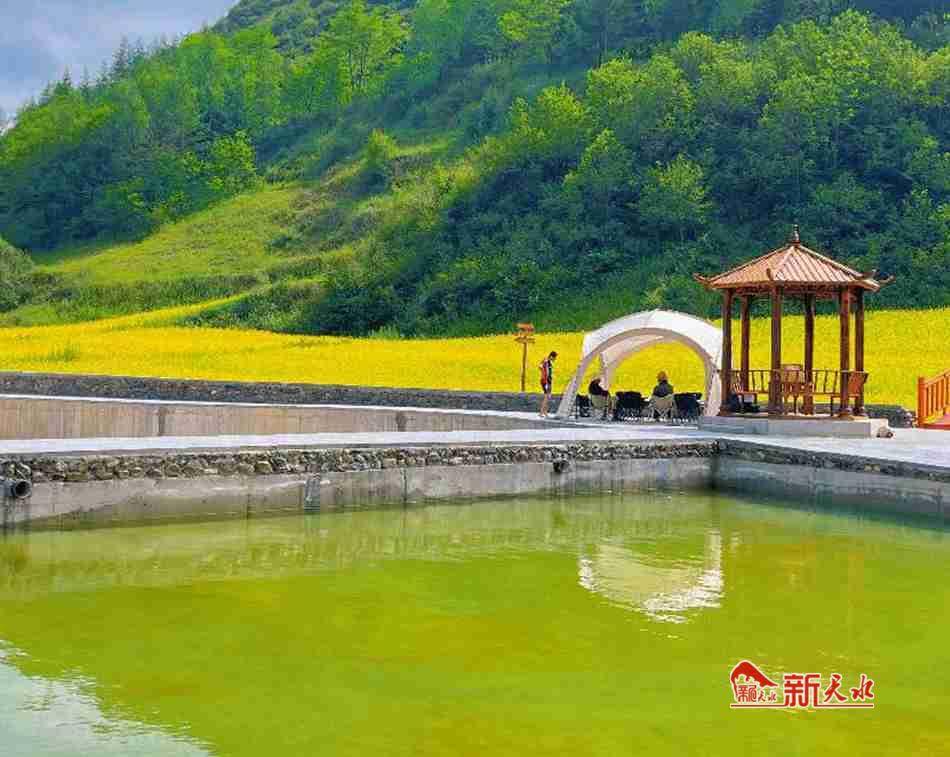 武山县杨河镇:山清水秀村庄美