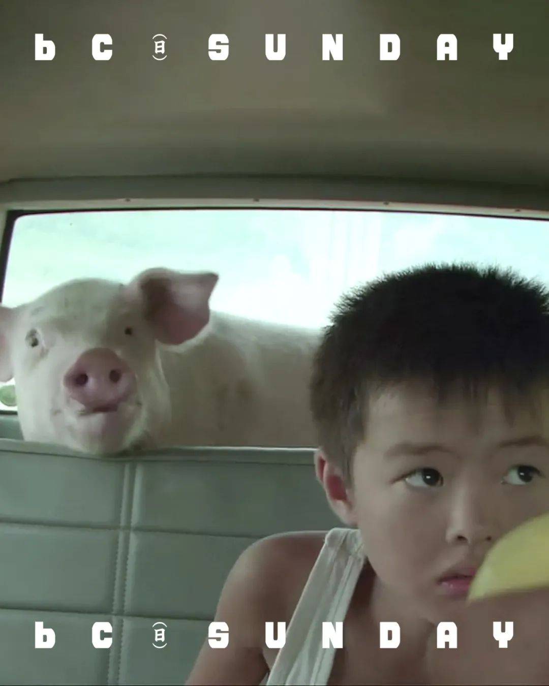 啊~朋友再见吧再见吧,再见吧|bcsunday六月