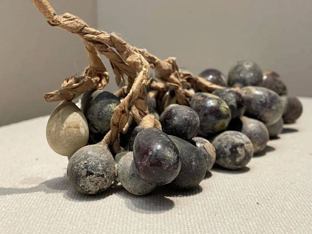 河北的这串"烂葡萄"火上热搜……_张骞_果实_我国