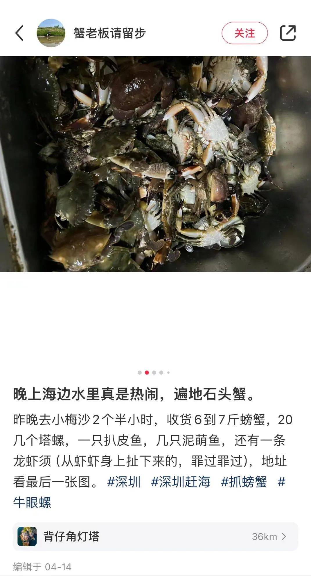 青蟹,兰花蟹价格比较贵,抓起来难度也高.