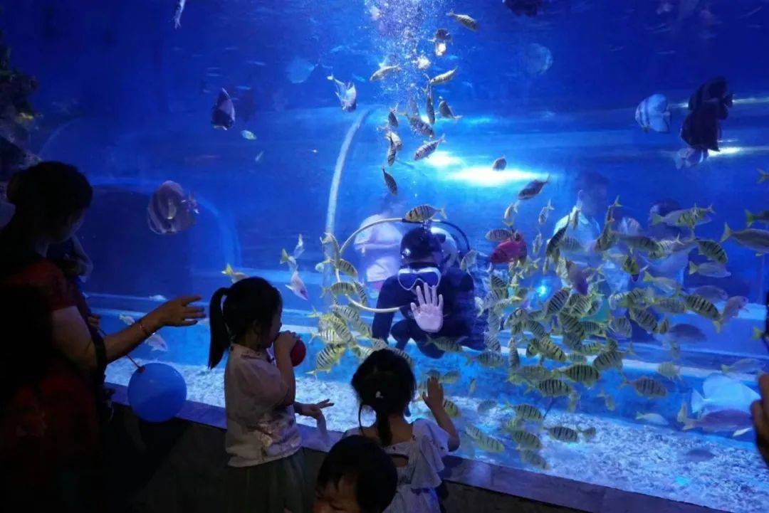 快看!好多绵阳宝贝