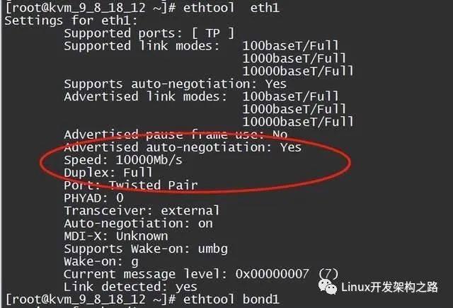 如何高效定位网络丢包问题?
