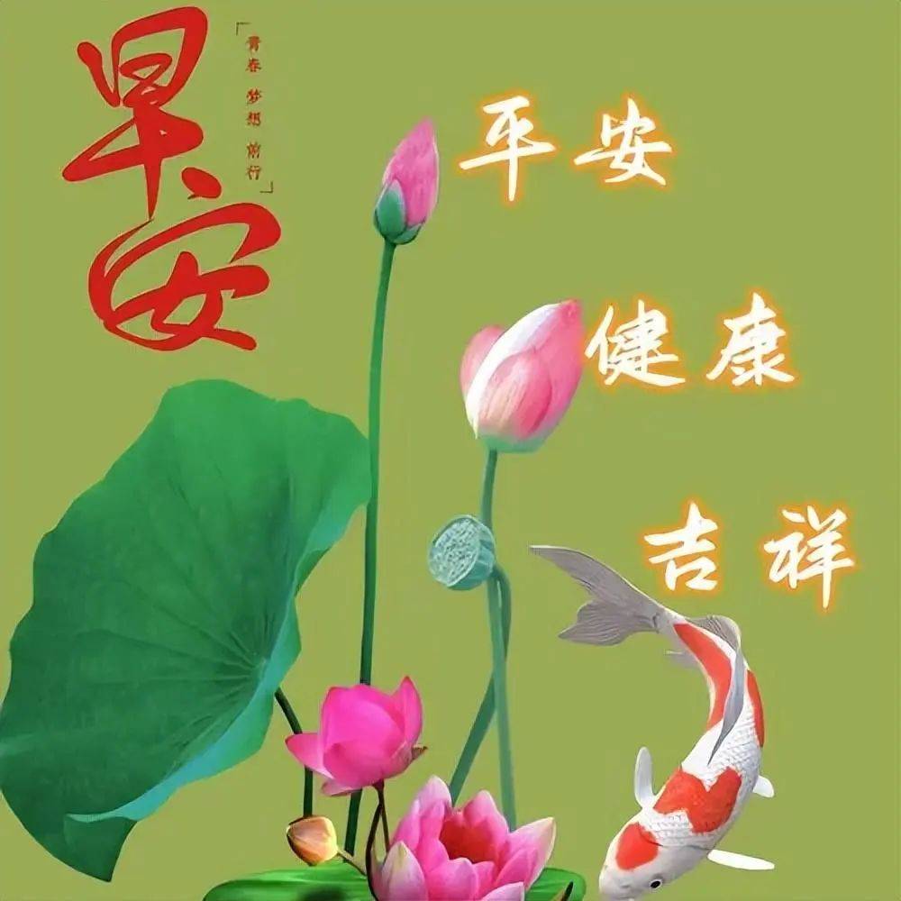 早上好