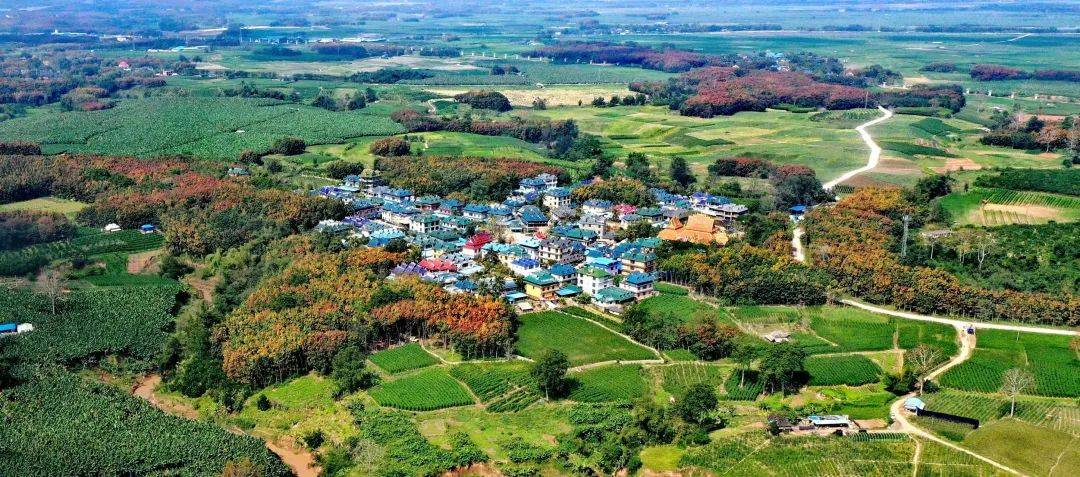 曼搭村委会曼法岱村创新机制,发挥先行先试效应按"先行试点,典型引路"