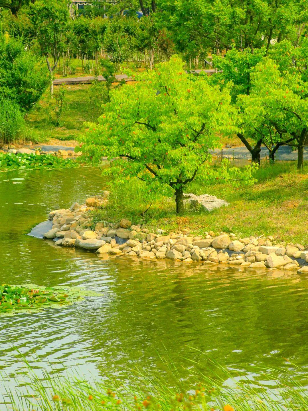 在烟台,找到了心中的"阿勒泰"!