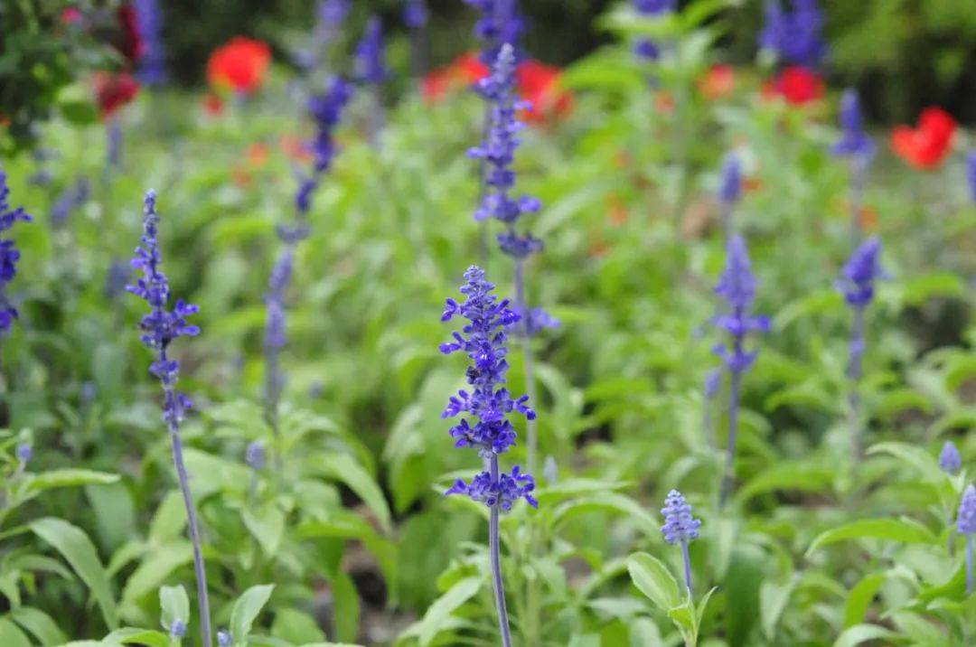 心情决定乳腺癌治疗效果北京朝阳区中西医结合急诊抢救中心/张宇清