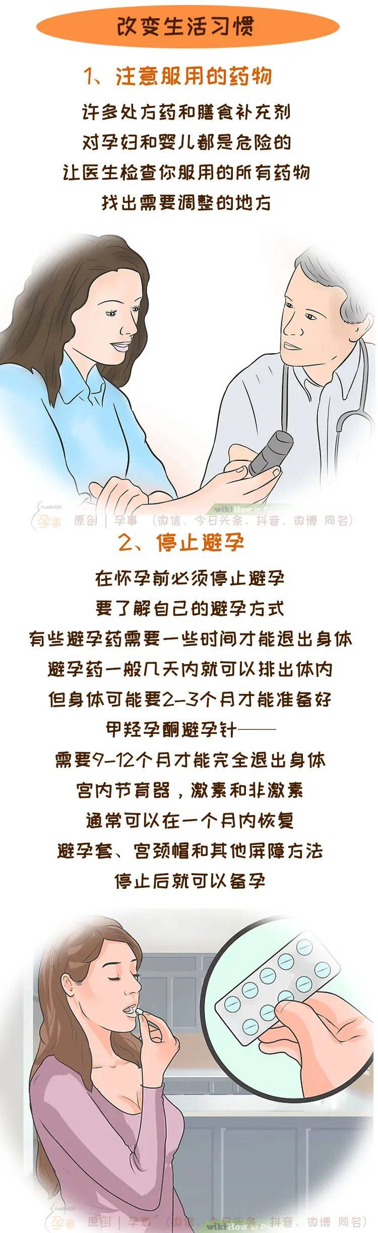 受孕的过程流程图片