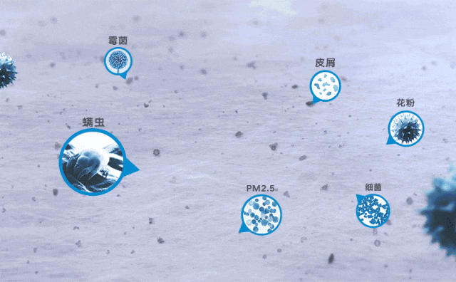 裸睡伴侣!这条艾草"凉感被"火了,瞬间降温4℃,夏天电费省一半