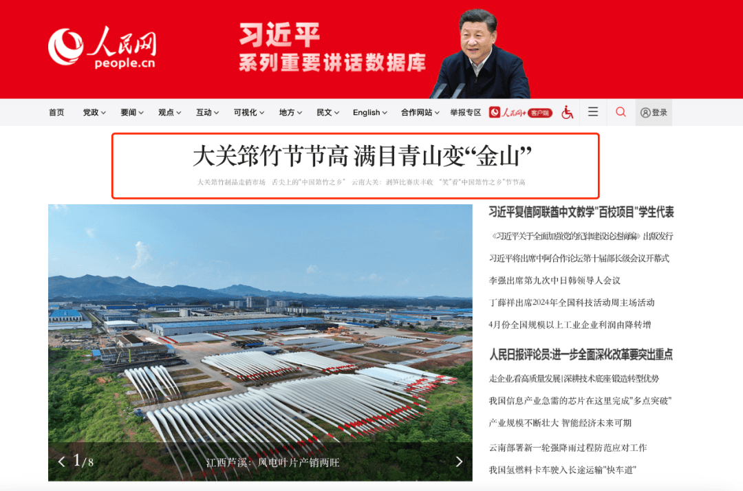 满目青山变"金山"!【人民网】头条点赞云南大关筇竹产业发展"节节高"