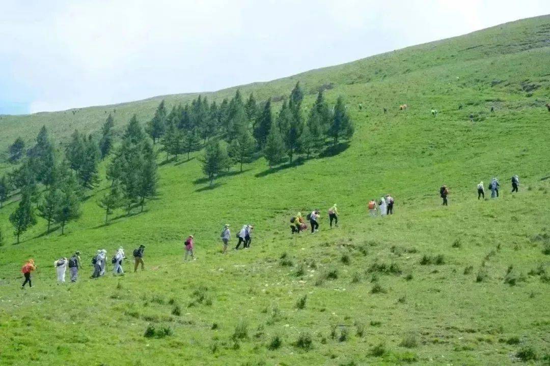 青青徒步丨6.1【初级】蔚县空中草原麻田岭15km穿越