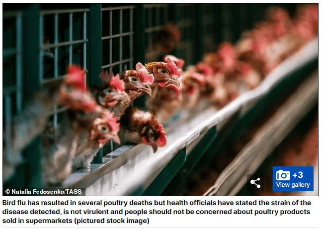 澳洲超市警告: 鸡肉鸡蛋, 马上要断货!