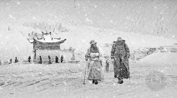 公布| 2024年第22届印度摄影学会(psi)国际摄影大赛获奖作品_金牌