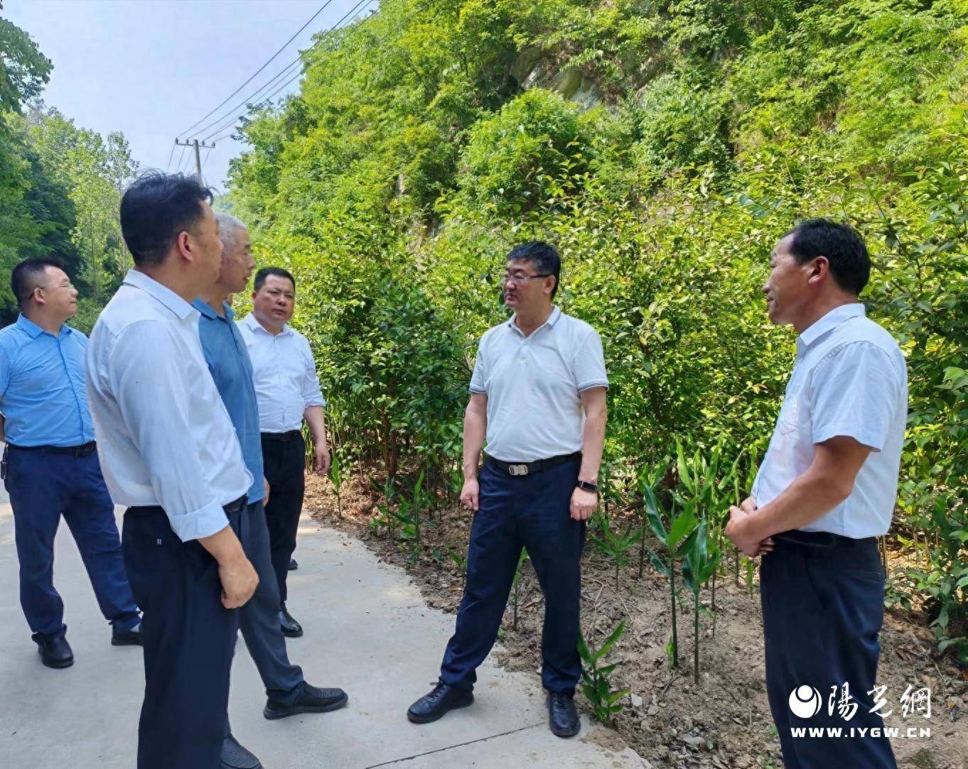 商南县委书记徐江博调研旅游资源开发及特色产业发展