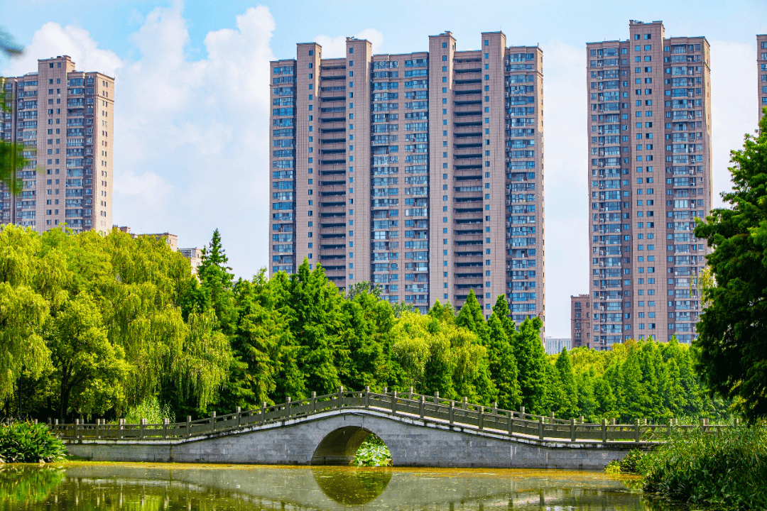 绿意盎然是泗阳的夏日封面开云体育 开云平台(图4)